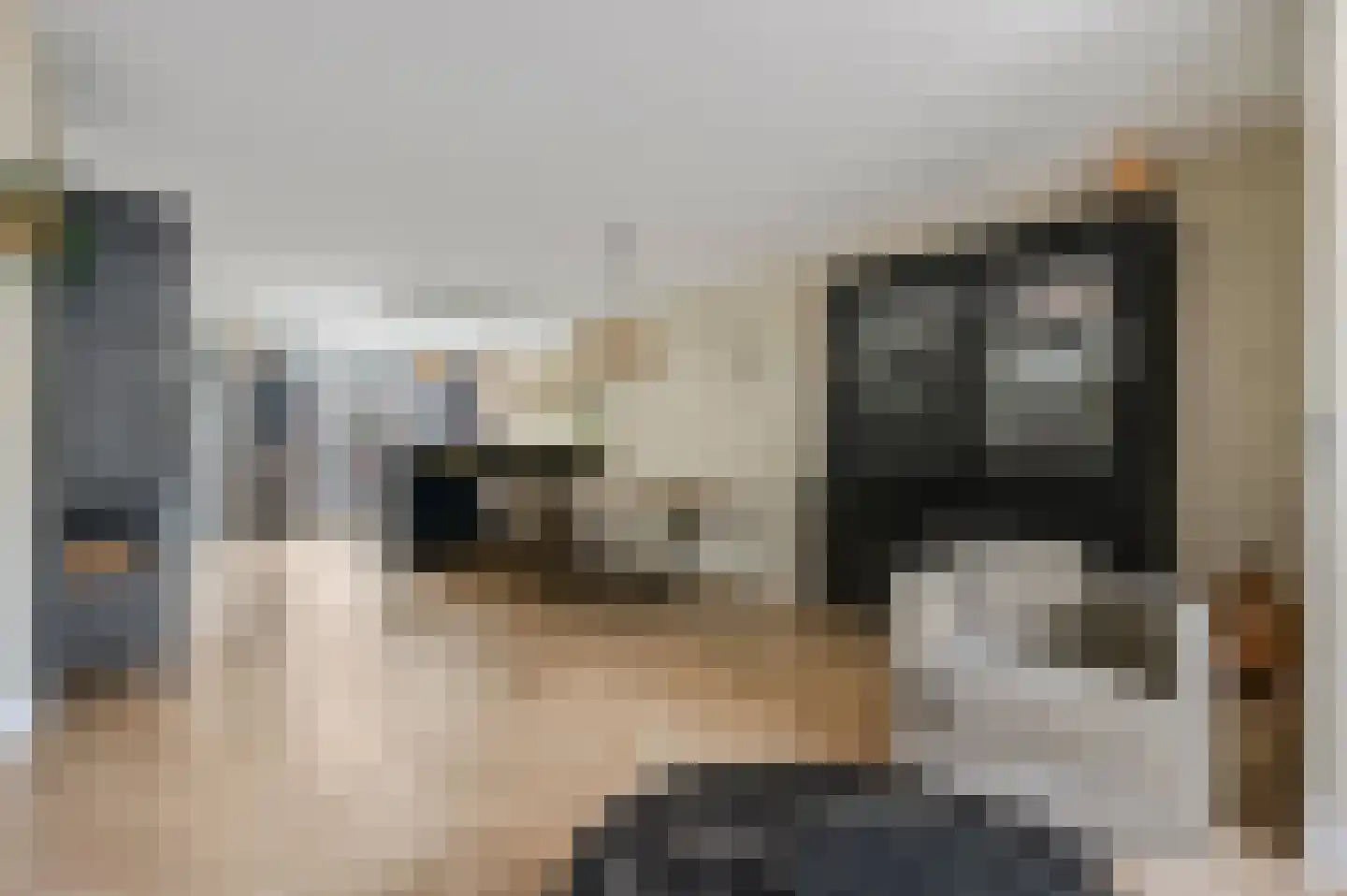 Frisia 1 Veenendaal thumbnail 15