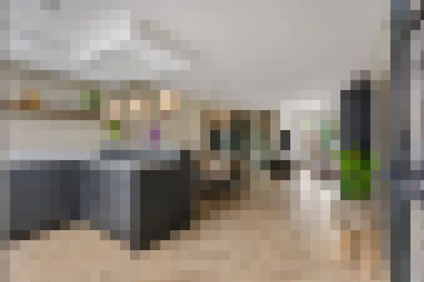 Frisia 1 Veenendaal thumbnail 18