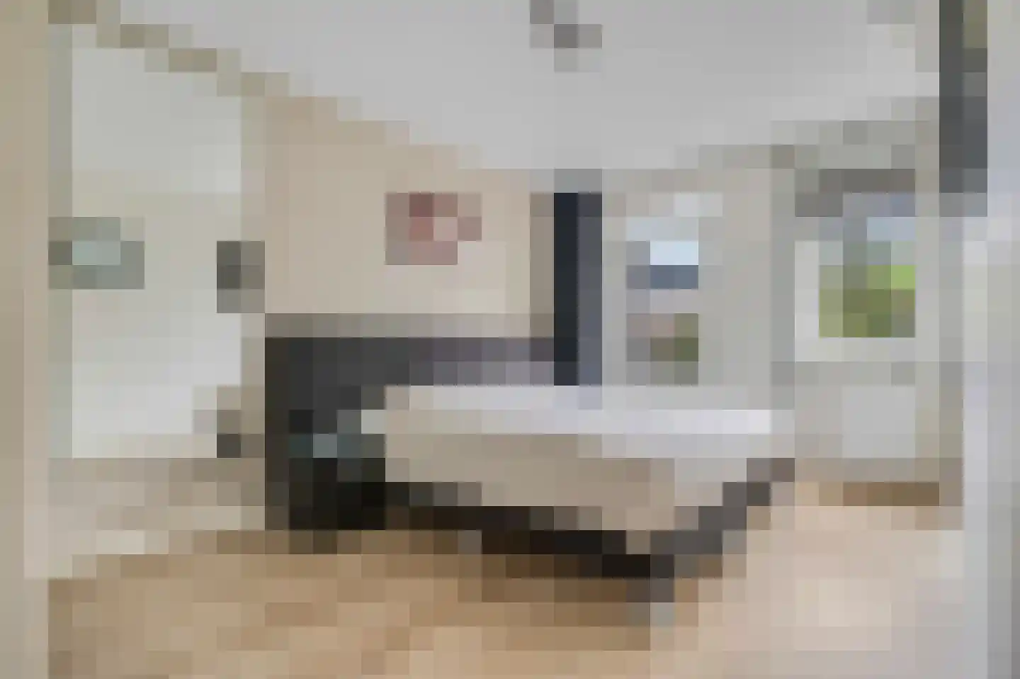 Frisia 1 Veenendaal thumbnail 22
