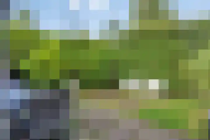 Frisia 24 Franeker thumbnail 57