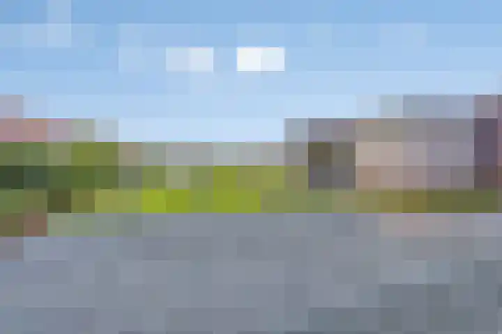 Frisia 24 Franeker thumbnail 65