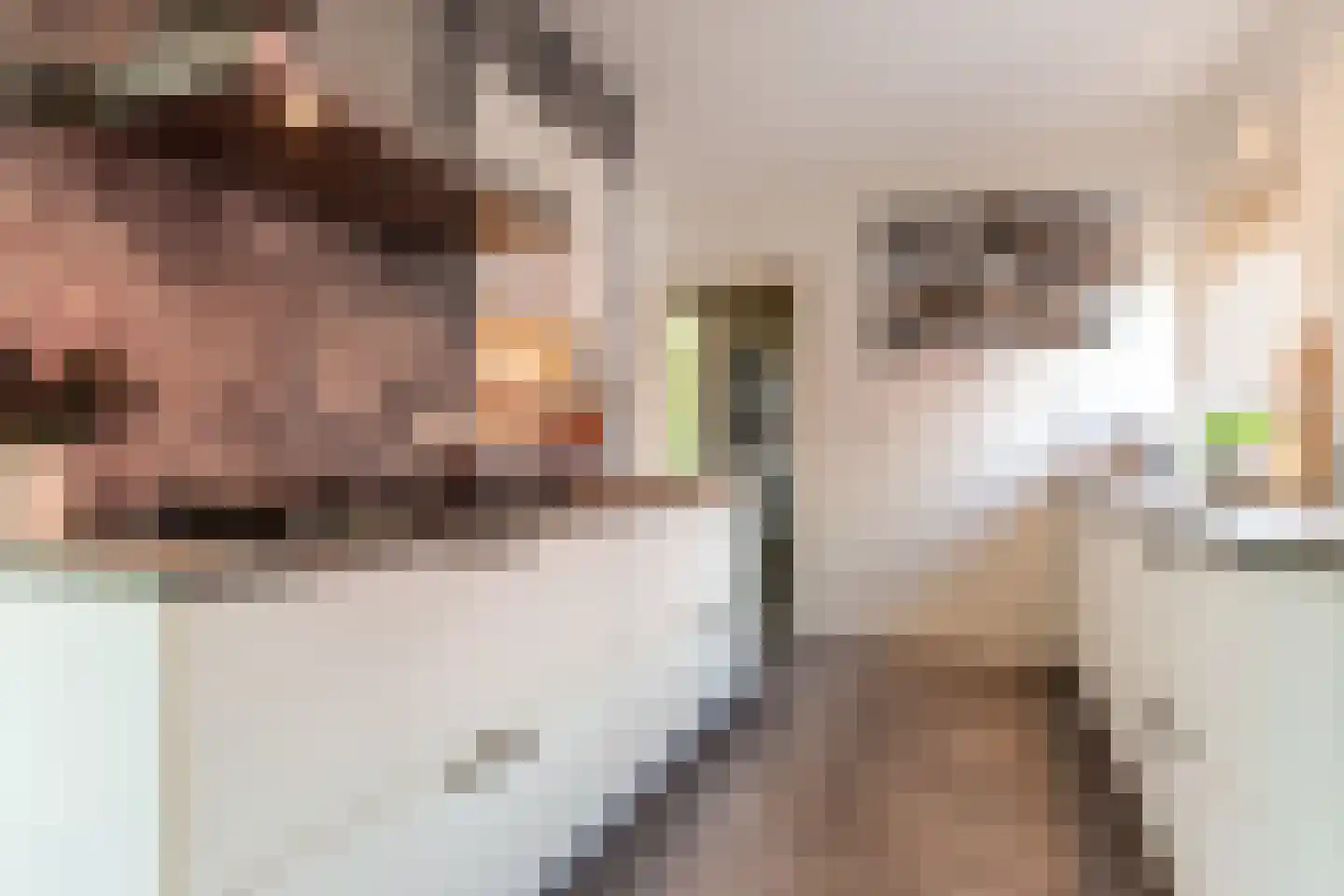 Frisialaan 20 Harderwijk thumbnail 22