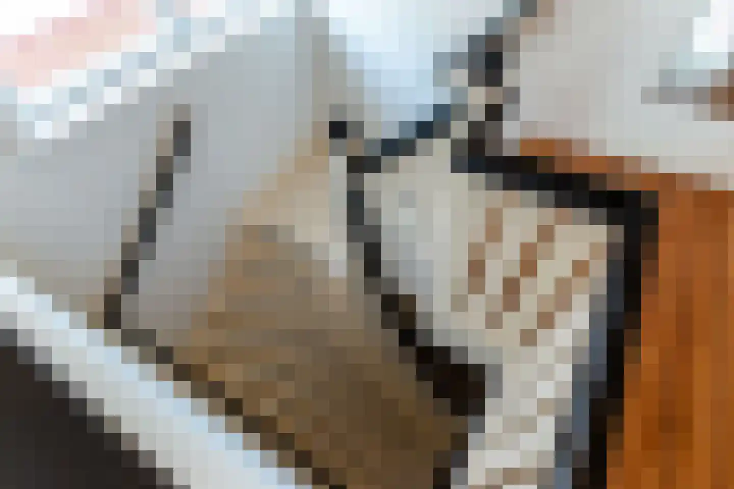 Frisialaan 20 Harderwijk thumbnail 26