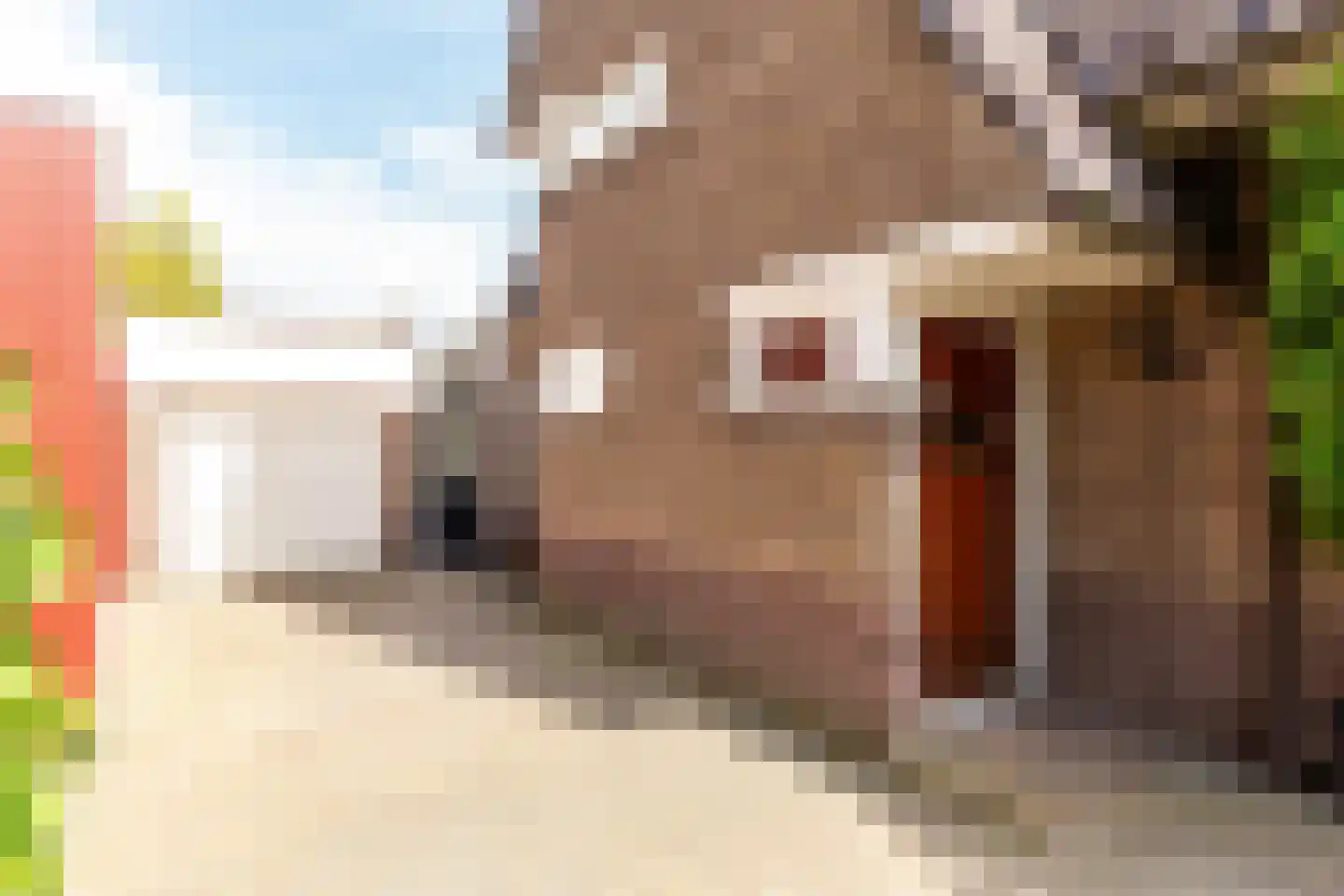 Frisialaan 20 Harderwijk thumbnail 46