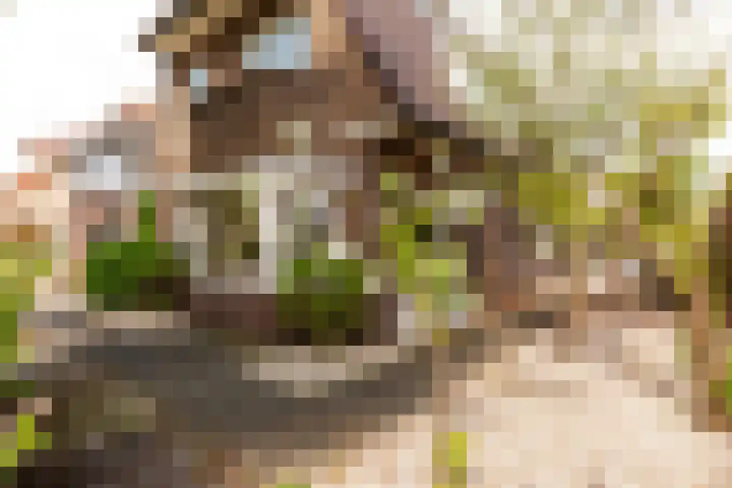 Frisialaan 20 Harderwijk thumbnail 48