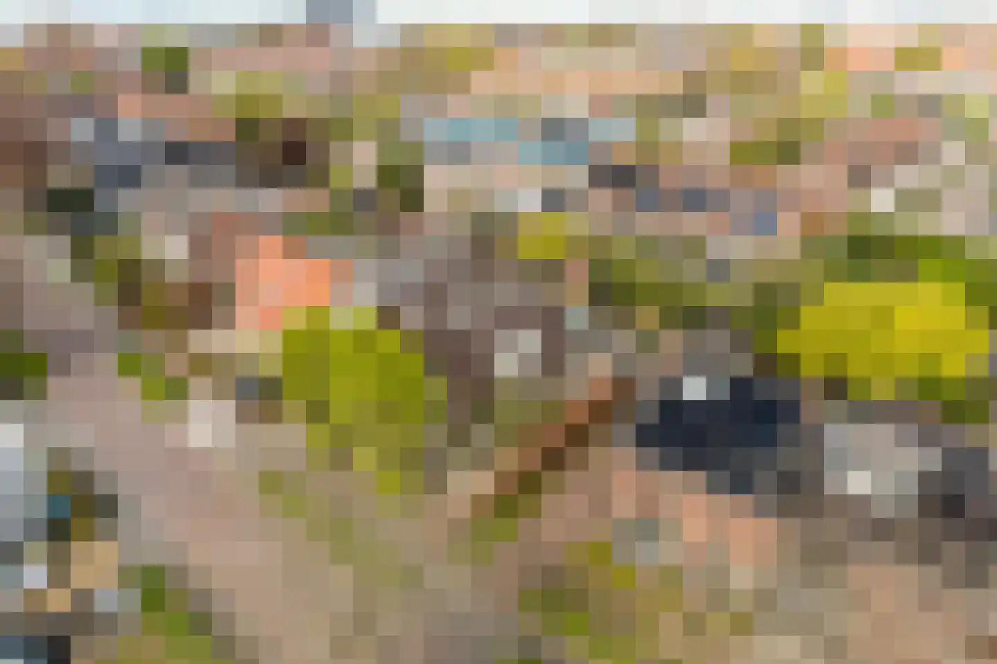 Frisialaan 20 Harderwijk thumbnail 54