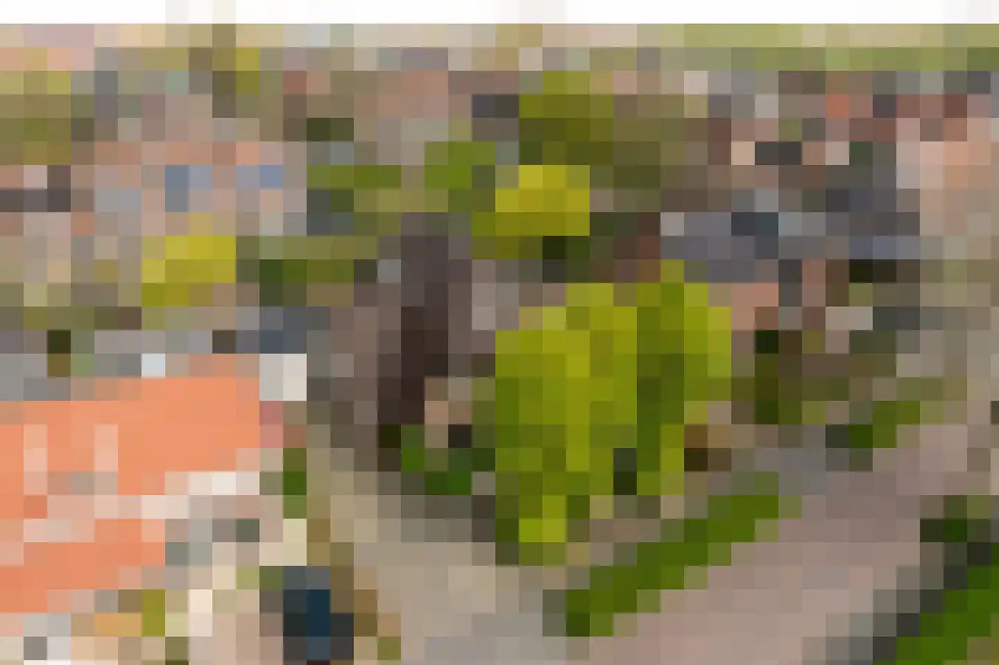 Frisialaan 20 Harderwijk thumbnail 56