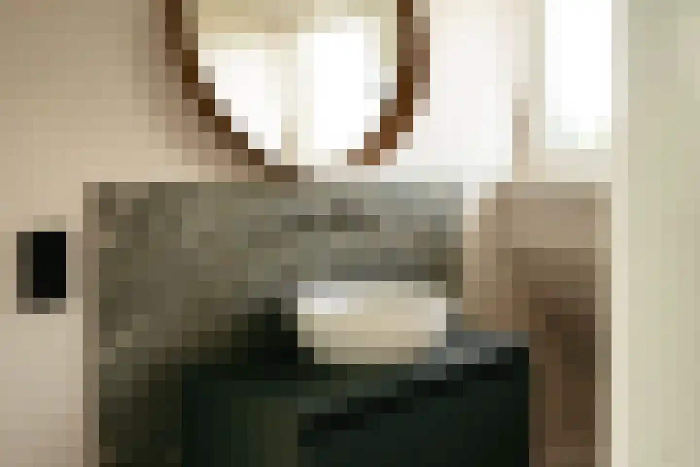 Frisialaan 25 Harderwijk thumbnail 43
