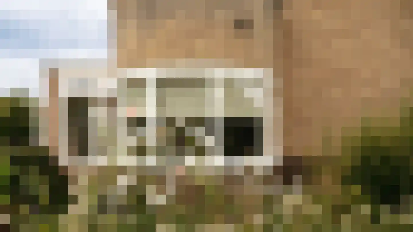 Frisialaan 25 Harderwijk thumbnail 52