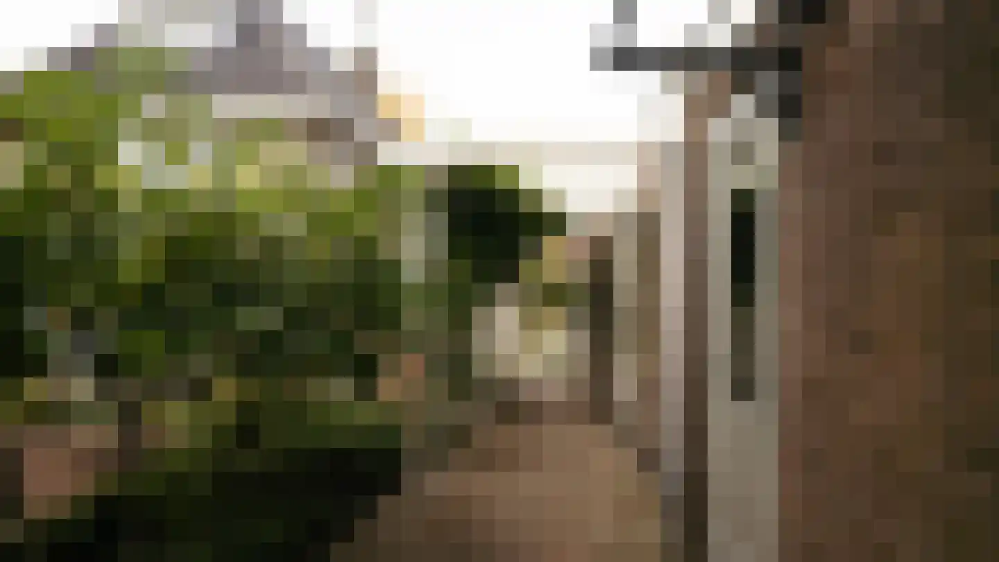 Frisialaan 25 Harderwijk thumbnail 57
