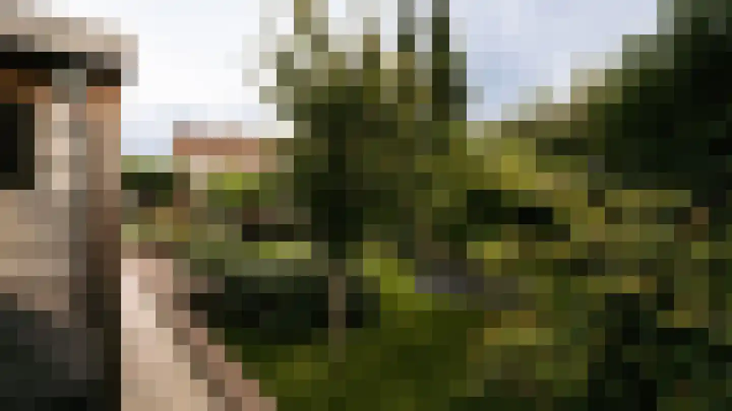 Frisialaan 25 Harderwijk thumbnail 58
