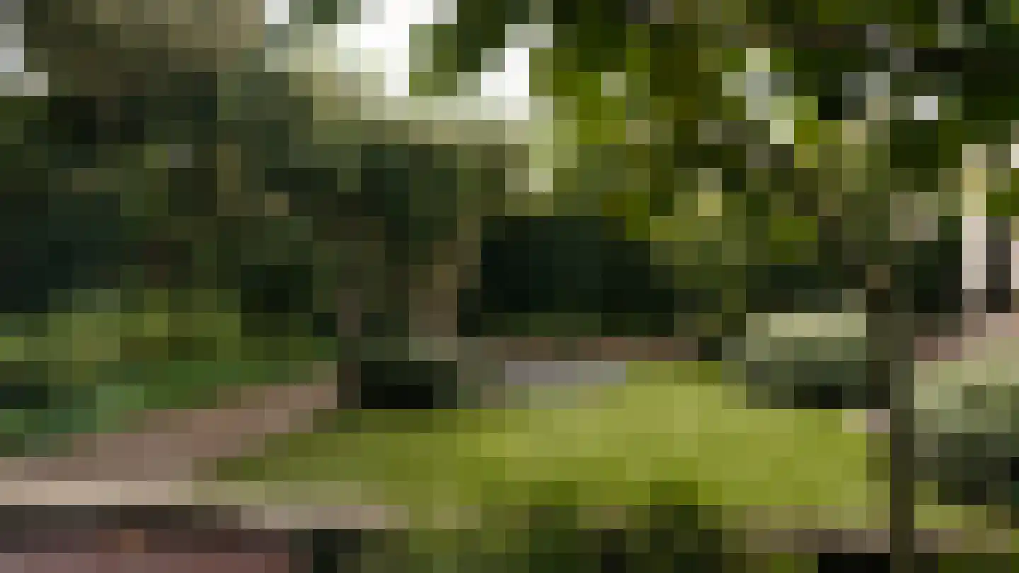 Frisialaan 25 Harderwijk thumbnail 59