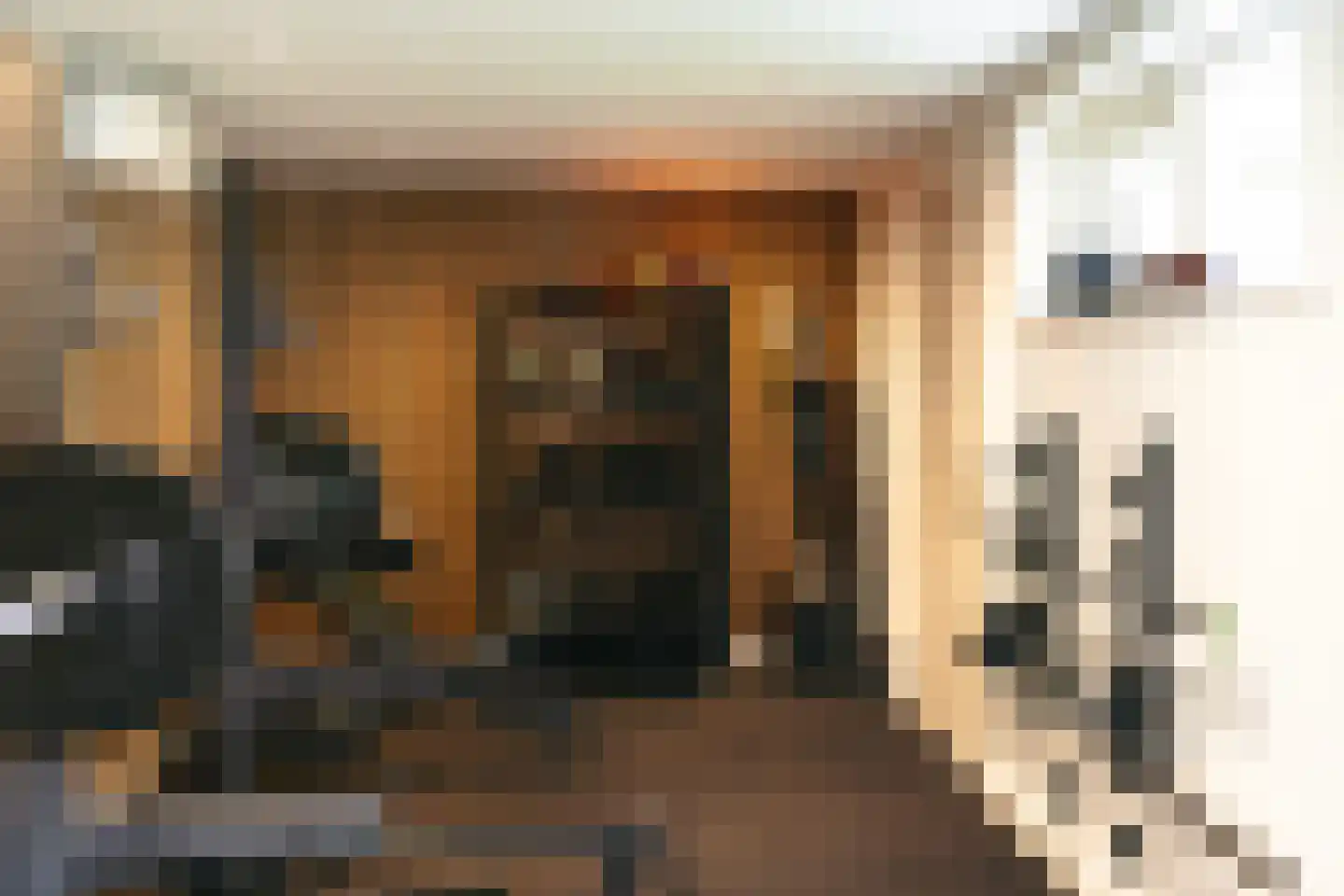 Frisialaan 25 Harderwijk thumbnail 63