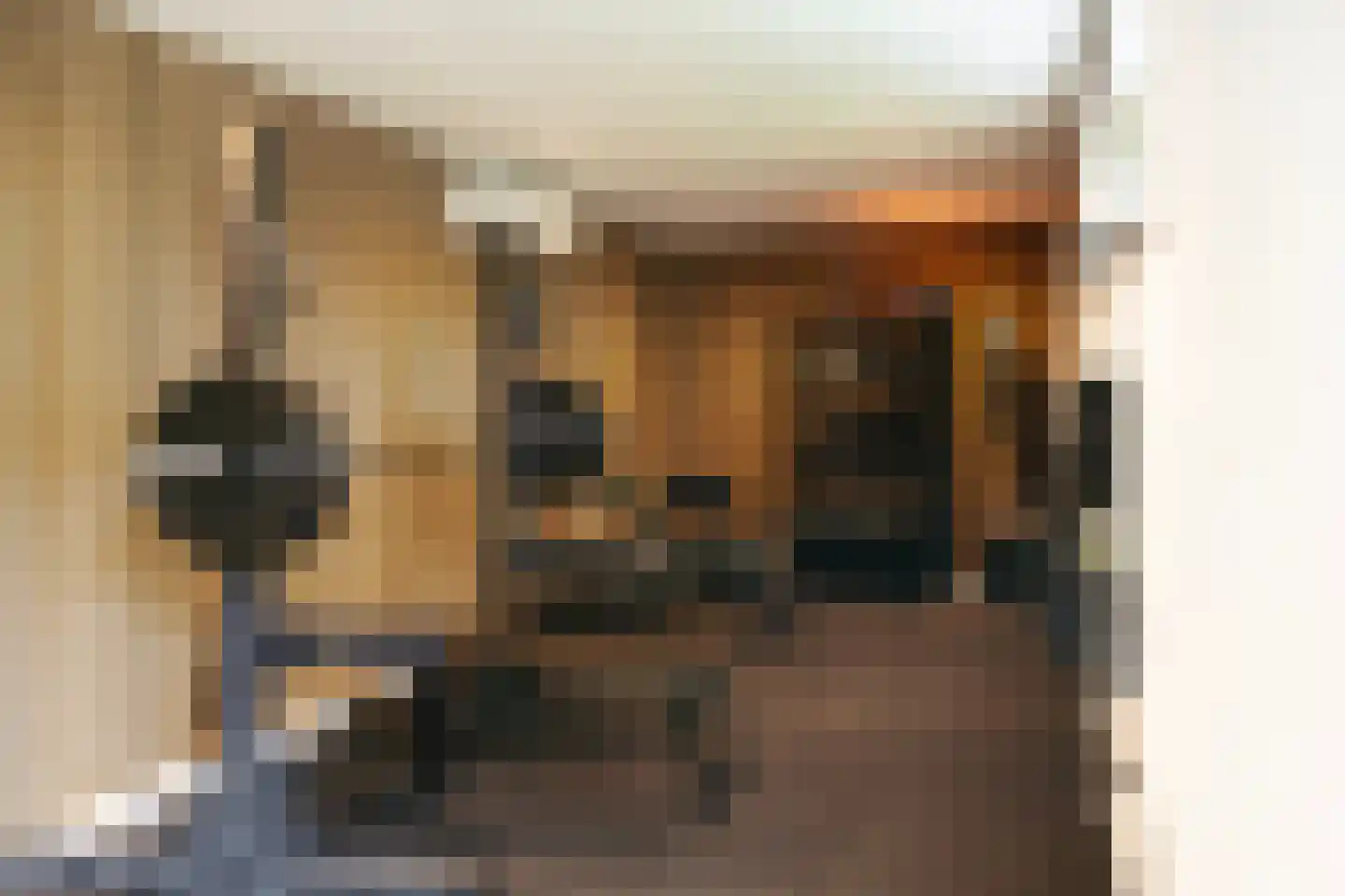 Frisialaan 25 Harderwijk thumbnail 64