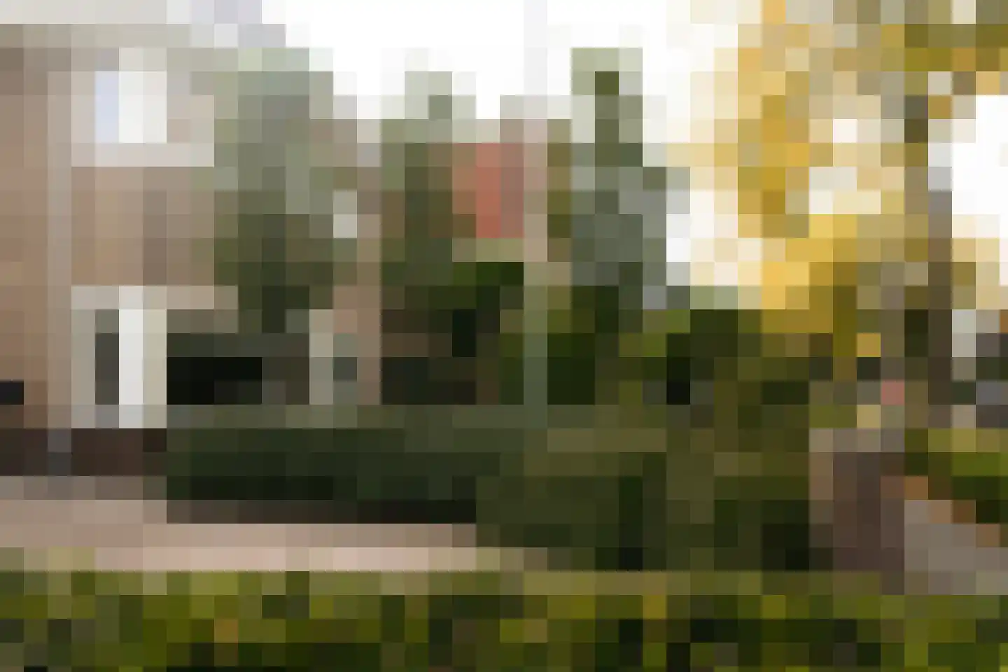 Frisialaan 25 Harderwijk thumbnail 69