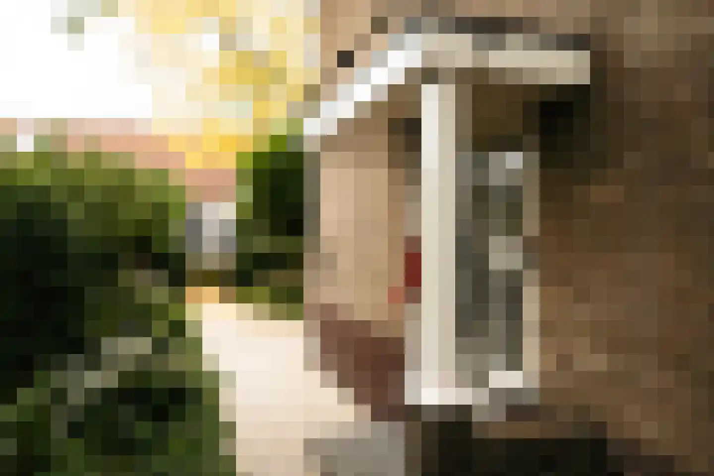 Frisialaan 25 Harderwijk thumbnail 7