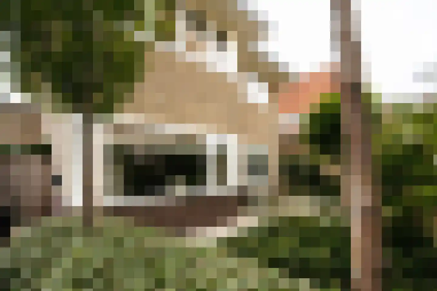 Frisialaan 25 Harderwijk thumbnail 71