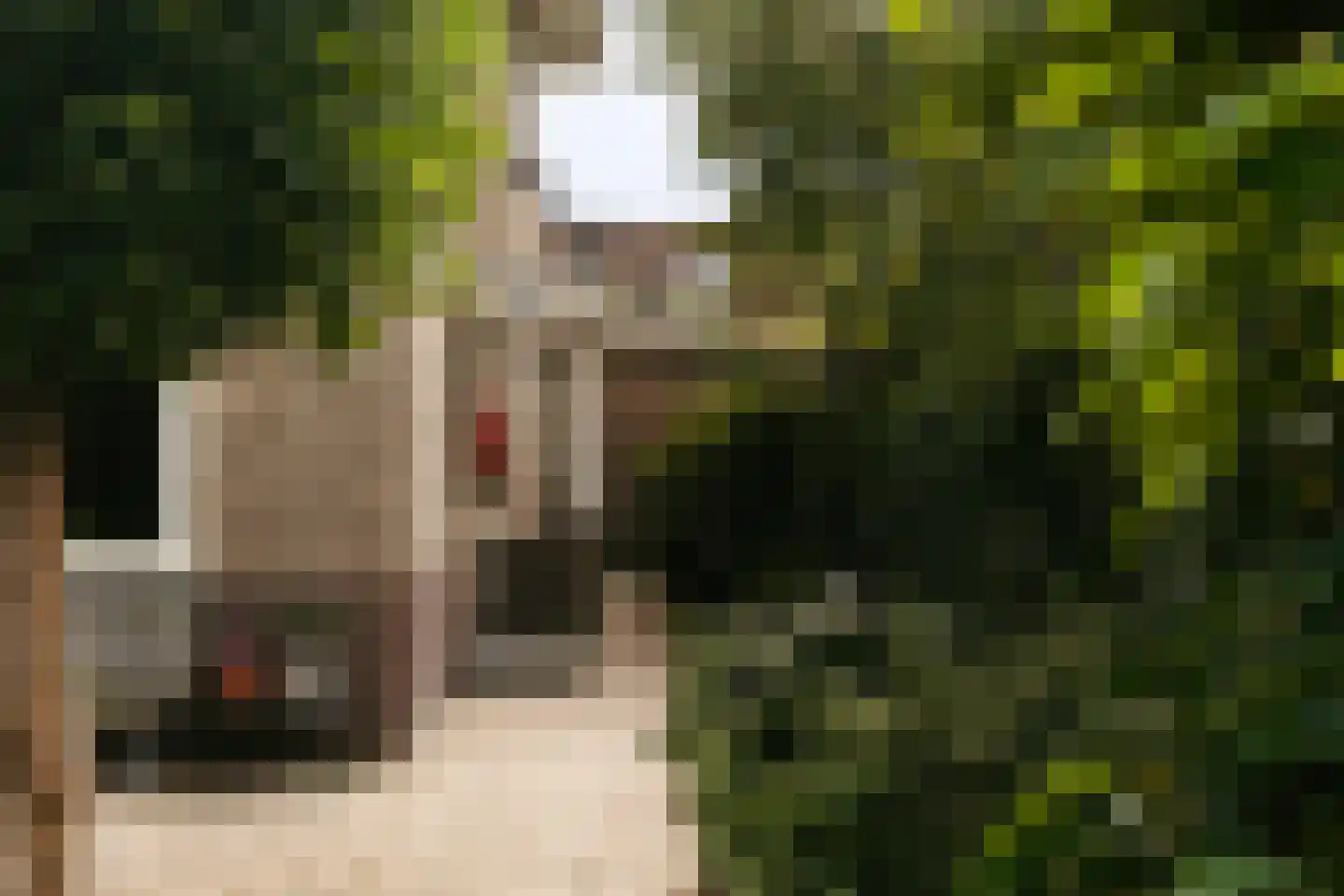 Frisialaan 25 Harderwijk thumbnail 73