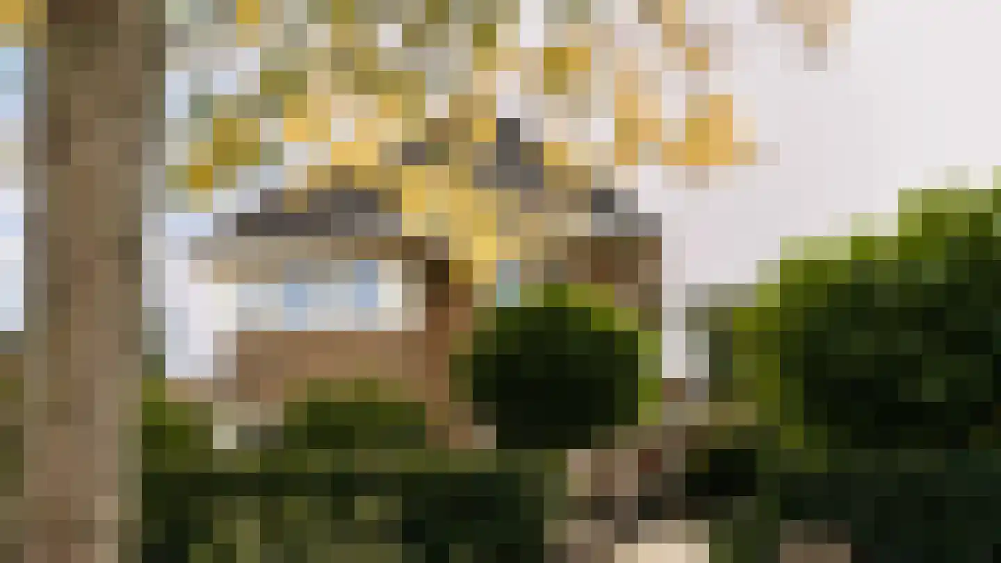 Frisialaan 25 Harderwijk thumbnail 75