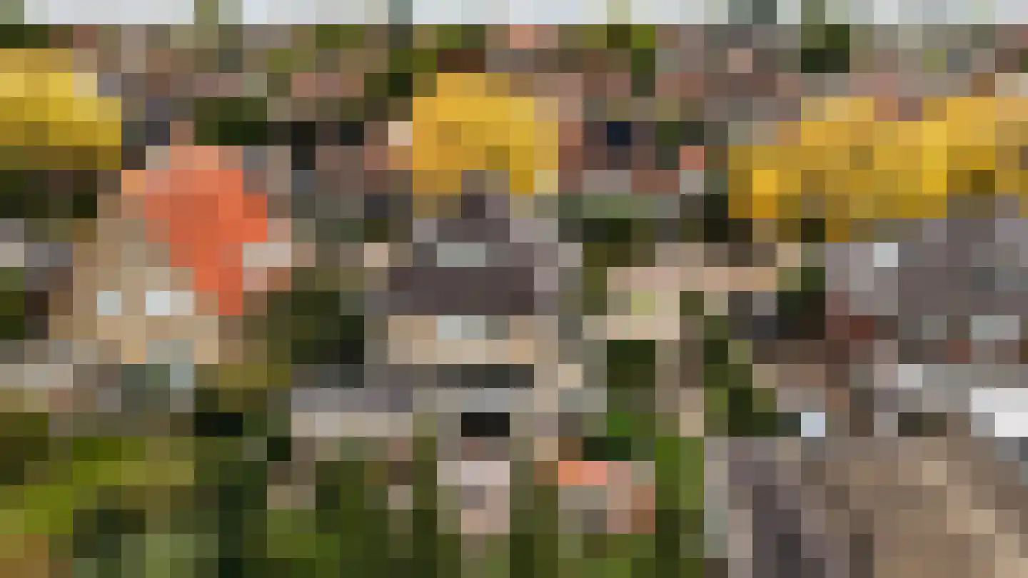 Frisialaan 25 Harderwijk thumbnail 77
