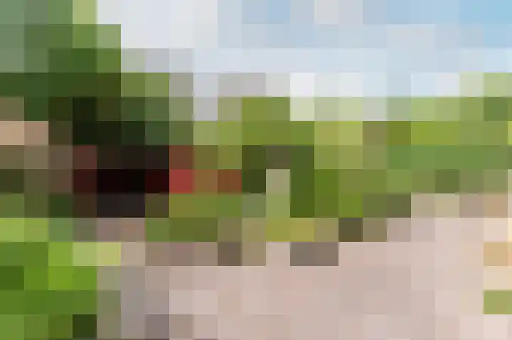 Frisialaan 3 Harderwijk thumbnail 27