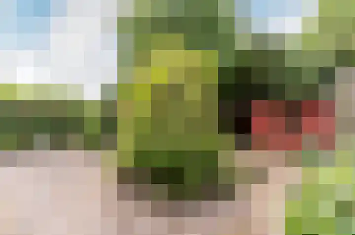 Frisialaan 3 Harderwijk thumbnail 28