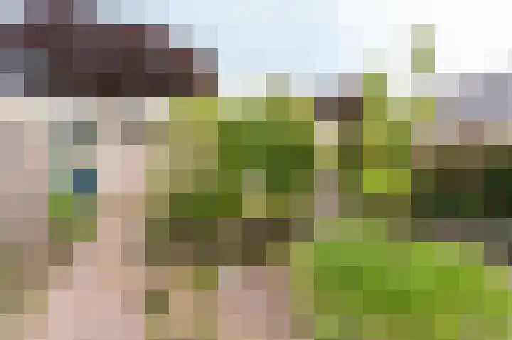 Frisialaan 3 Harderwijk thumbnail 29