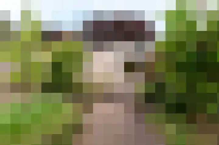 Frisialaan 3 Harderwijk thumbnail 30