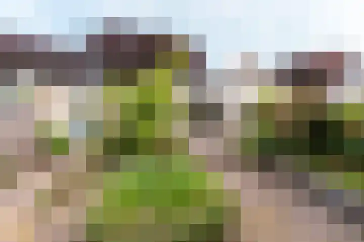 Frisialaan 3 Harderwijk thumbnail 31