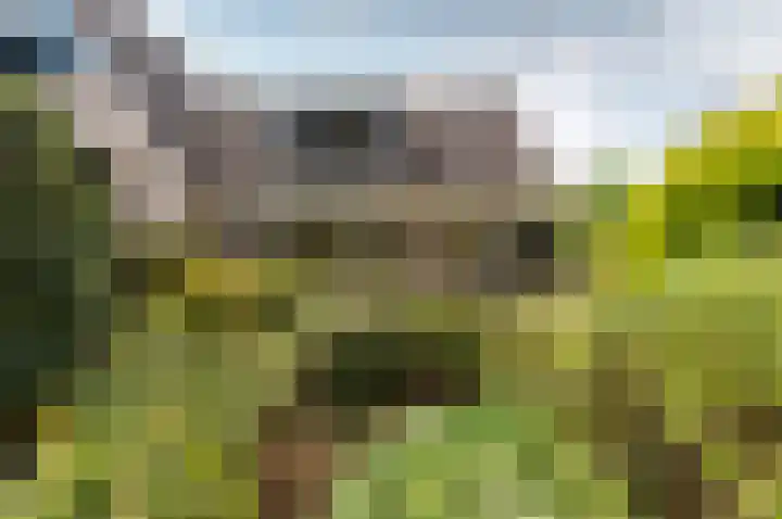 Frisialaan 3 Harderwijk thumbnail 33