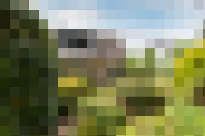 Frisialaan 3 Harderwijk thumbnail 34