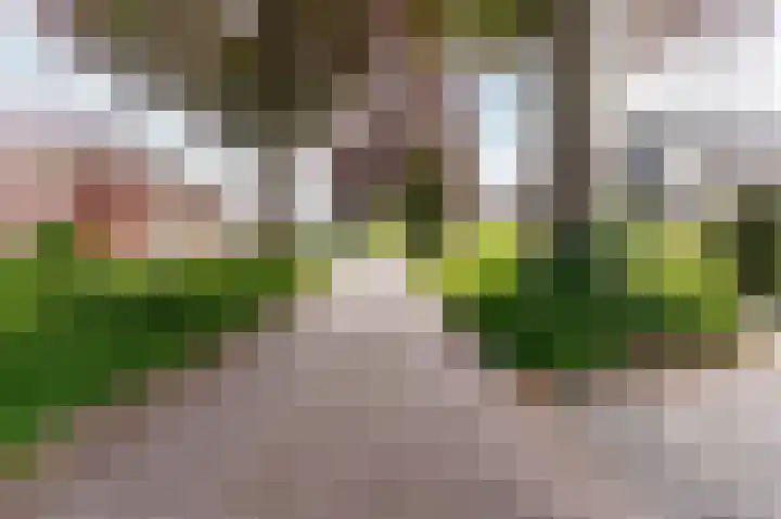 Frisialaan 3 Harderwijk thumbnail 37