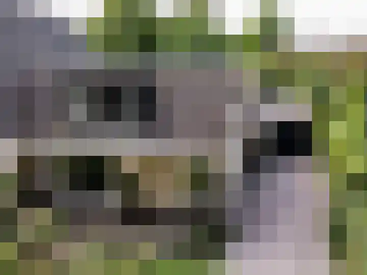 Frisialaan 3 Harderwijk thumbnail 38