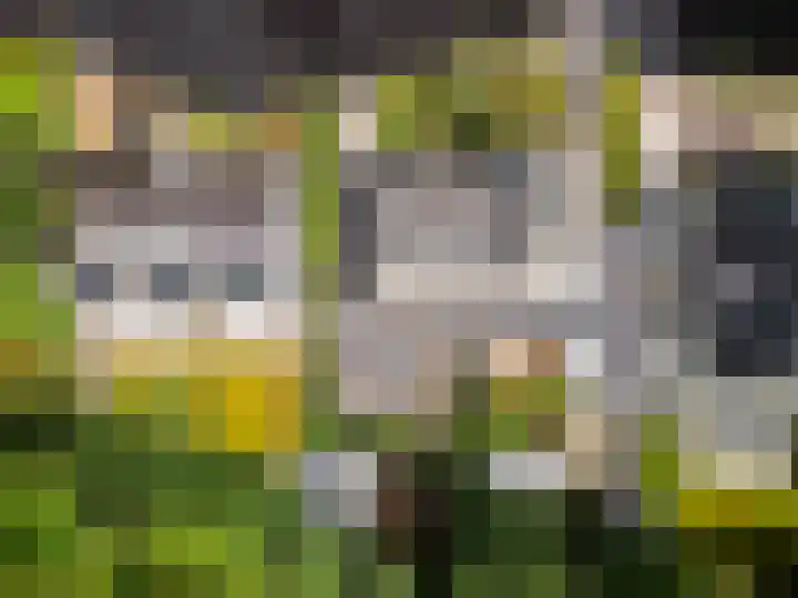 Frisialaan 3 Harderwijk thumbnail 39