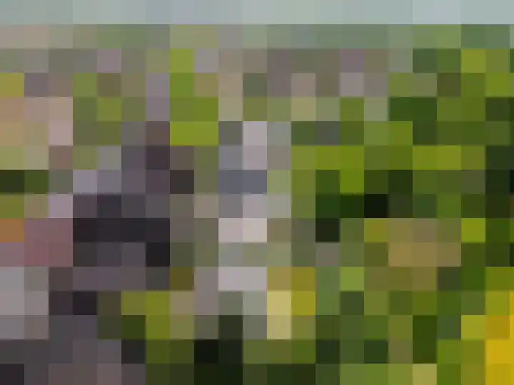 Frisialaan 3 Harderwijk thumbnail 40