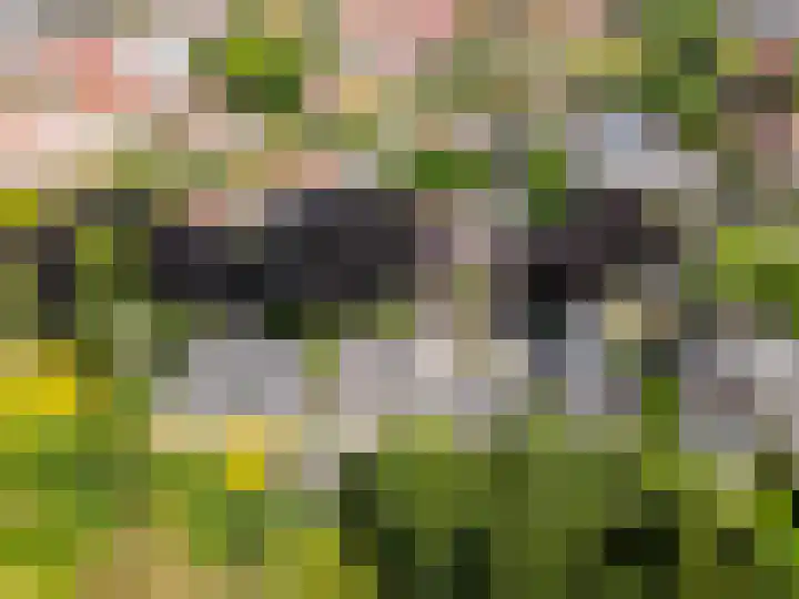 Frisialaan 3 Harderwijk thumbnail 41