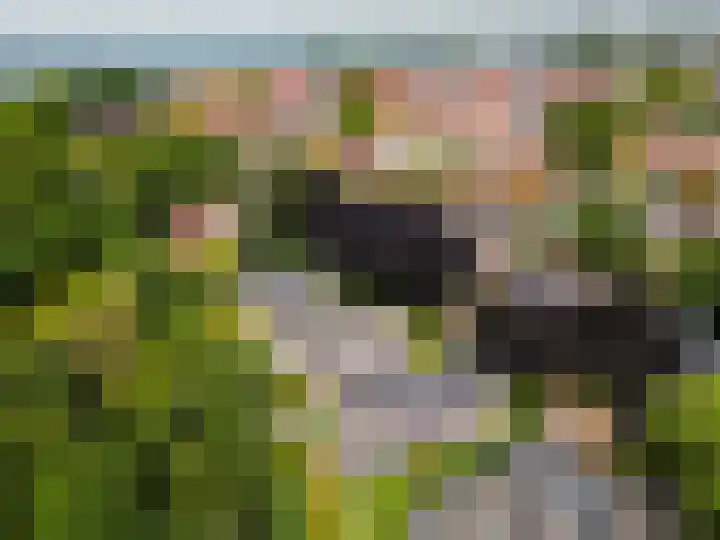 Frisialaan 3 Harderwijk thumbnail 42