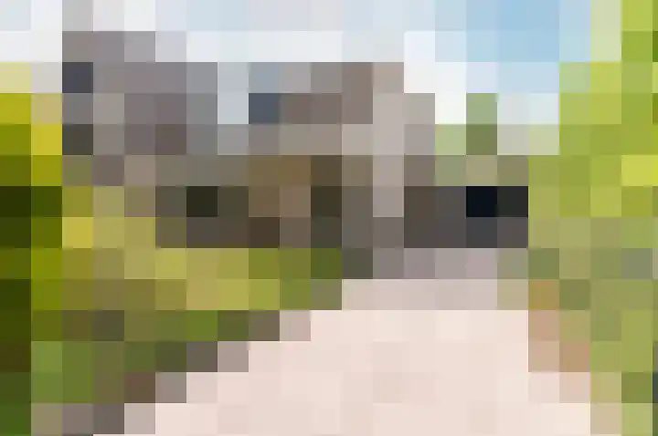 Frisialaan 3 Harderwijk thumbnail 45