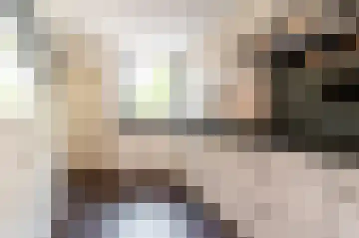 Frisialaan 3 Harderwijk thumbnail 9
