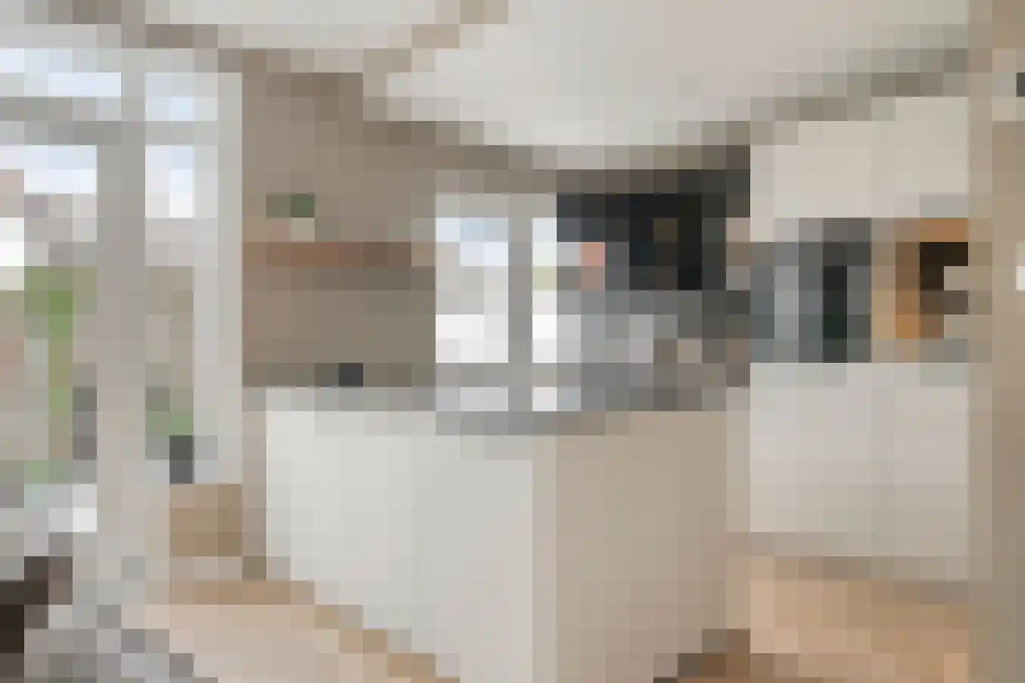 Frisialaan 40 Harderwijk thumbnail 16