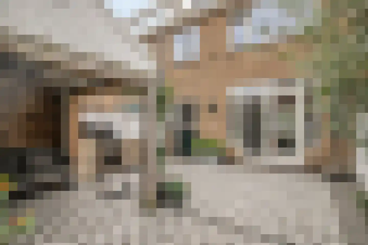 Frisialaan 40 Harderwijk thumbnail 36
