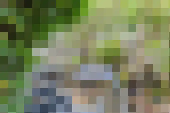 Frisialaan 44 Harderwijk thumbnail 36