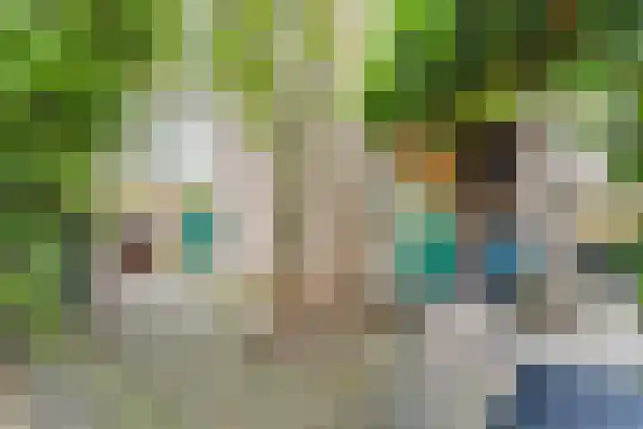 Frisialaan 44 Harderwijk thumbnail 38