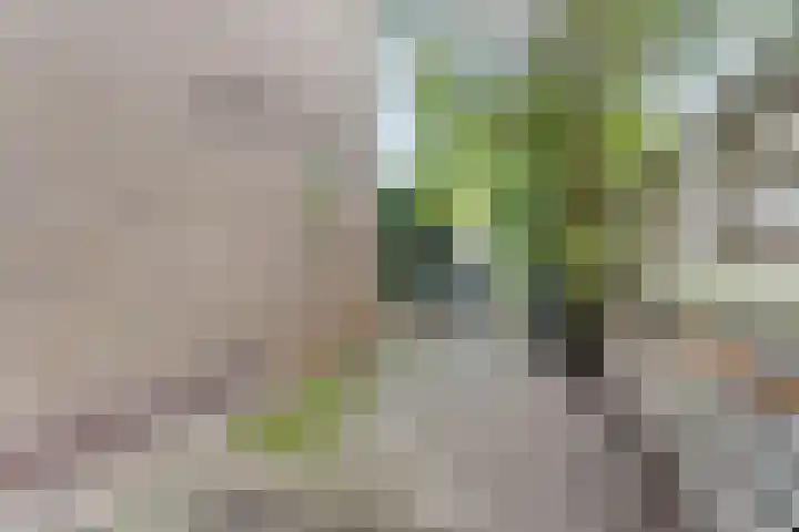 Frisialaan 44 Harderwijk thumbnail 39