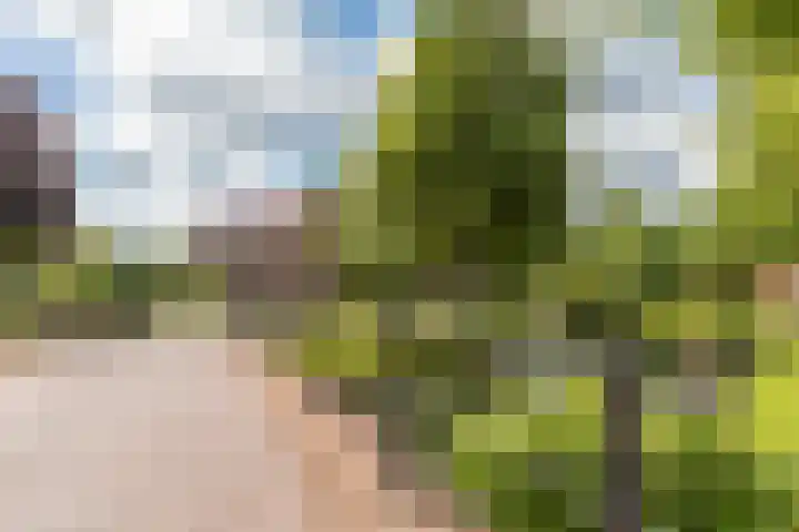 Frisialaan 44 Harderwijk thumbnail 44