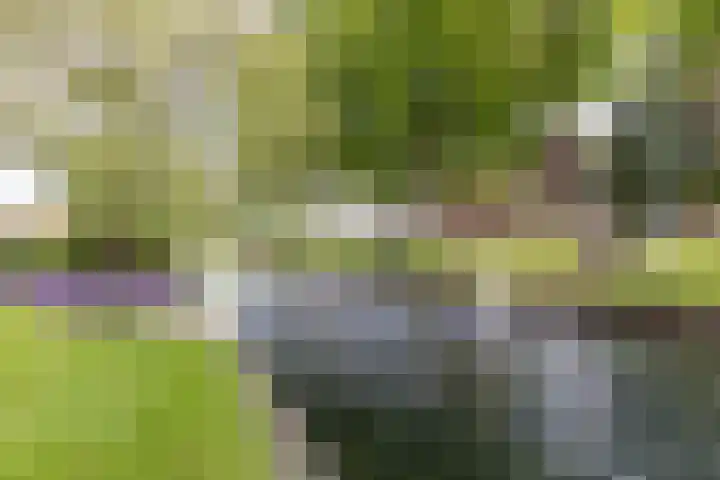 Frisialaan 44 Harderwijk thumbnail 45
