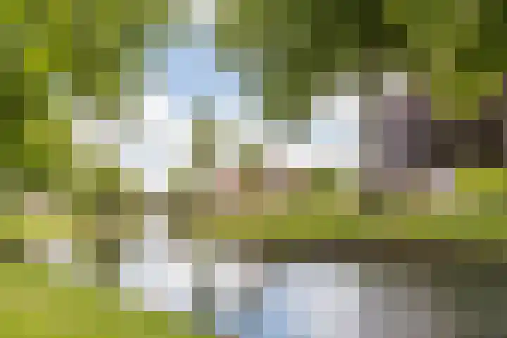 Frisialaan 44 Harderwijk thumbnail 46