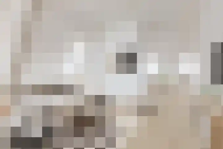 Frisiaplein 49 IJlst thumbnail 19