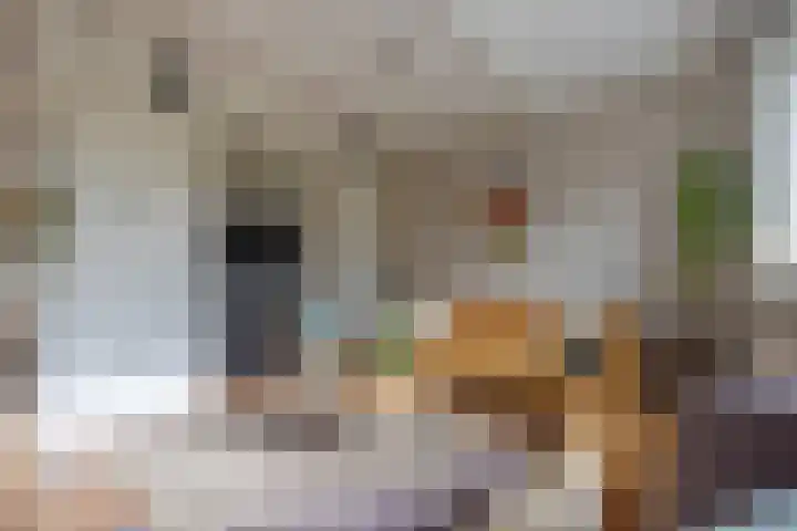 Frisiasingel 31 Burgum thumbnail 10