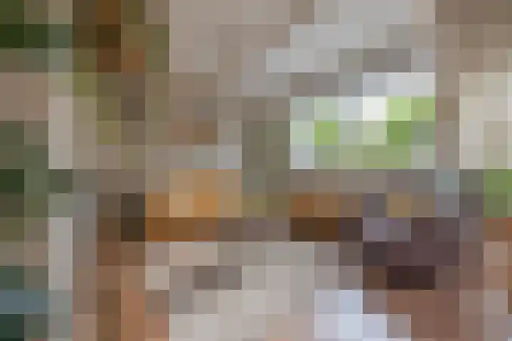 Frisiasingel 31 Burgum thumbnail 11
